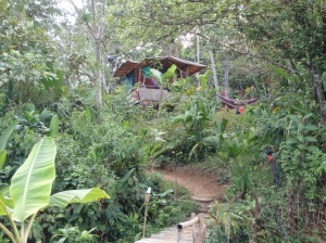 Jungle Hostel outside of Puerto Jimenez.
