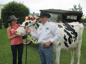 This lovely cow was milked during the syllabub ceremony at the Hays Breakfast. A real beaut. 