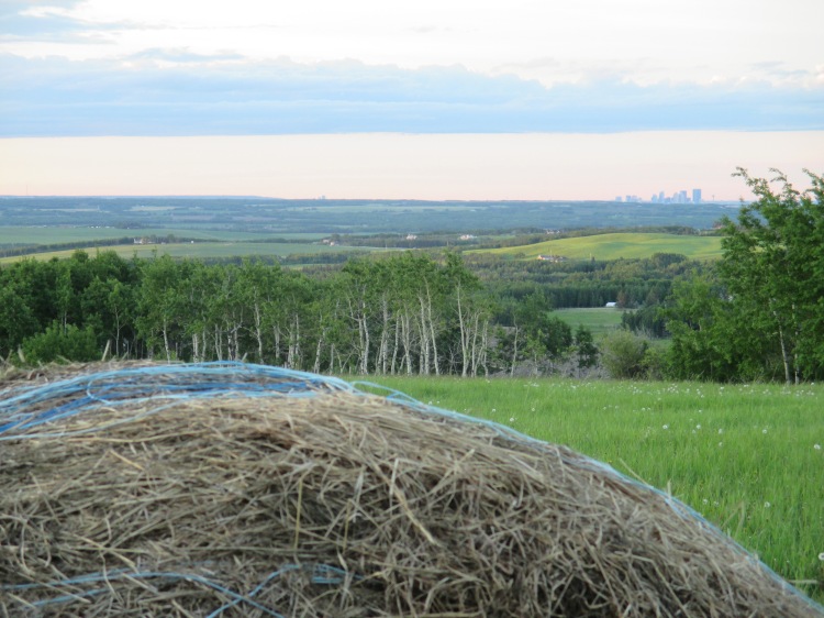 View of Calgary from the Rothney Astrophysical Observatory in Priddis 